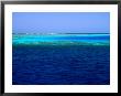 Abu Nuhas (Ships' Graveyard) Dive Site In Red Sea, Egypt by Jean-Bernard Carillet Limited Edition Print