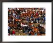 The Masses Gather For The Ballinasloe Horse Fair, Ballinasloe, Ireland by Doug Mckinlay Limited Edition Print