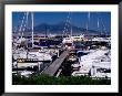 Marina At Borgo Marinaro In Santa Lucia, Naples, Italy by Dallas Stribley Limited Edition Print