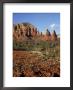 Red Rock Country With Spring Flowers, Sedona, Arizona, Usa by Jamie & Judy Wild Limited Edition Print