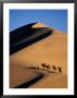 Camel Caravan With Sand Dune, Silk Road, China by Keren Su Limited Edition Print