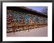 Nine Dragon Wall At Beihai Park, Beijing, China by Diana Mayfield Limited Edition Print