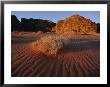 Desert Scene by Annie Griffiths Belt Limited Edition Print