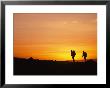 Silhouetted Climbers Ascend Nevado Ampato While The Sun Rises On The Horizon by Stephen Alvarez Limited Edition Print