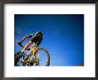 Biker Seen From The Rear by David Edwards Limited Edition Pricing Art Print