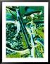 Bright Blue And Green Colors Create An Electrifying View Of A Bicycle by Stacy Gold Limited Edition Print