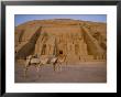 A View Of The Ramses Ii Temple by Bill Ellzey Limited Edition Print