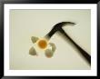 A Blurred Hammer Cracks Open An Egg by Stephen St. John Limited Edition Pricing Art Print