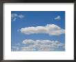 Puffy Cumulus Clouds Dot The Sky On This Crisp Summer Day by Stacy Gold Limited Edition Pricing Art Print