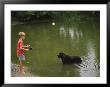 Boy Fishing In A Pond With A Black Labrador Retriever Standing In The Water by Brian Gordon Green Limited Edition Pricing Art Print