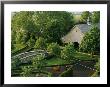 View Of Barn And Grounds Of Ashford Stud, A Prestigious Horse Farm by Melissa Farlow Limited Edition Print