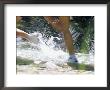 Runners Legs Splashing Through A Creek by Dugald Bremner Limited Edition Print