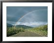 Double Rainbow Over The Denali Highway by Rich Reid Limited Edition Print