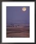 A Combine Chews Through An Undulating Field Of Wheat Under A Huge Full Moon by Robert Madden Limited Edition Print