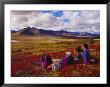 People Watch The Landscape Unfold Before Their Eyes by Paul Nicklen Limited Edition Print