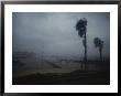 View From A Vehicle Of Hurricane Allen Striking Corpus Christi by Annie Griffiths Belt Limited Edition Print