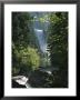 Vernal Fall Seen Through Lush Spring Foliage In Woodland Setting by Marc Moritsch Limited Edition Pricing Art Print