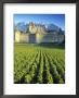 Chillon Chateau, Switzerland by Peter Adams Limited Edition Print