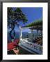 Sorrento, Bay Of Naples, Italy by Demetrio Carrasco Limited Edition Print
