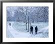Hyde Park, London, England by Alan Copson Limited Edition Print