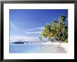 Tropical Beach And Palm Trees, Maldives, Indian Ocean by Danielle Gali Limited Edition Print