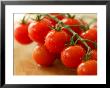 Tomato Conchita by Susie Mccaffrey Limited Edition Print