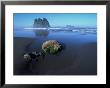 Morning At Second Beach, Olympic National Park, Wa by Mark Windom Limited Edition Print