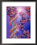Dna Double Helix And Protein by Jacob Halaska Limited Edition Print