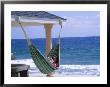 Woman Reading On A Hammock, Cayman by Barry Winiker Limited Edition Print