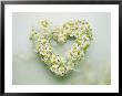 A Heart Made Out Of Daisies by Ips Agency Limited Edition Print