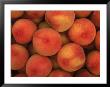 A Pile Of Many Fresh Rip Peaches by Inga Spence Limited Edition Print