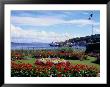 Garden At Esplanade, Argyll, Scotland by Mark Dyball Limited Edition Pricing Art Print