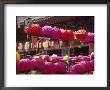 Buddhist Temple, Buddha's Birthday, Korea by Craig J. Brown Limited Edition Pricing Art Print