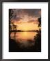 Sunset At Paurotis Pond, Everglades National Park, Fl by David Davis Limited Edition Print