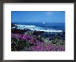The Monterey Penninsula On A Spring Day by James Blank Limited Edition Pricing Art Print