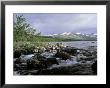 Lake Siilasjarvi, North Finland by Heikki Nikki Limited Edition Print