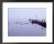 Swimming Marker And Pier by Cheryl Clegg Limited Edition Print