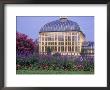 City Conservatory, Baltimore, Md by Mark Gibson Limited Edition Print