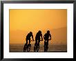 Silhouette Of Three Men Riding On The Beach by Mitch Diamond Limited Edition Pricing Art Print