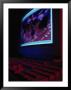 Computer Keyboard With Monitor by Gary Conner Limited Edition Print