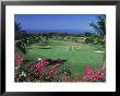 Golf Course, Keauhou, Hi by Mick Roessler Limited Edition Print