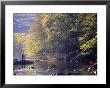 Father And Son Fly-Fishing, Deerfield River, Ma by Kindra Clineff Limited Edition Print