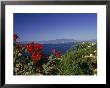 View Of Puerto Vallarta, Mexico by Grayce Roessler Limited Edition Pricing Art Print