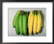 Green And Ripe Bananas by David M. Dennis Limited Edition Print