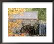 Grist Mill, Sudbury, Ma by Kindra Clineff Limited Edition Print