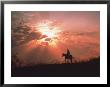 Cowboy At Sunset by Mick Roessler Limited Edition Print