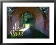 Fort Ramparts, County Down, Ireland by Kindra Clineff Limited Edition Print