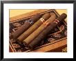 Premium Hand Rolled Cigars On Box by Gary Conner Limited Edition Print