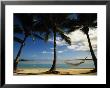 Palms And Hammock, Aitutaki, Cook Islands by Walter Bibikow Limited Edition Pricing Art Print