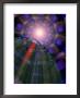 Navigating The World Wide Web by Carol & Mike Werner Limited Edition Print